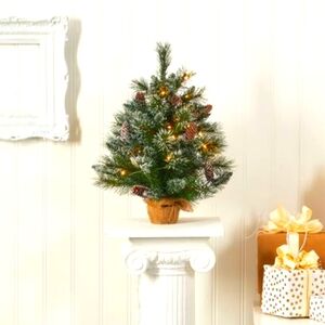 2ft. Pre-Lit Frosted Pine Artificial Christmas Tree with Pinecones